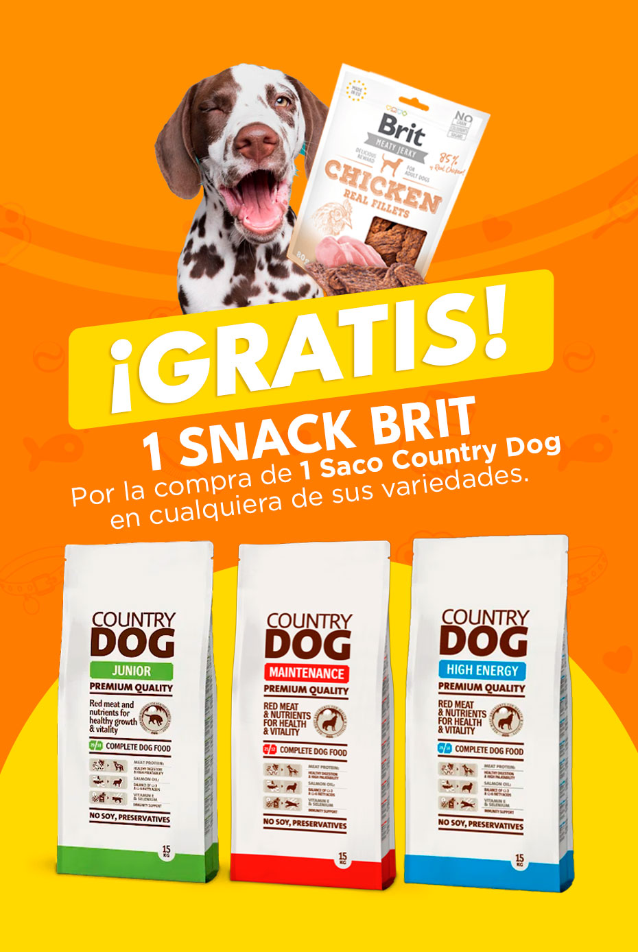 slider-snack-brit-country-dog