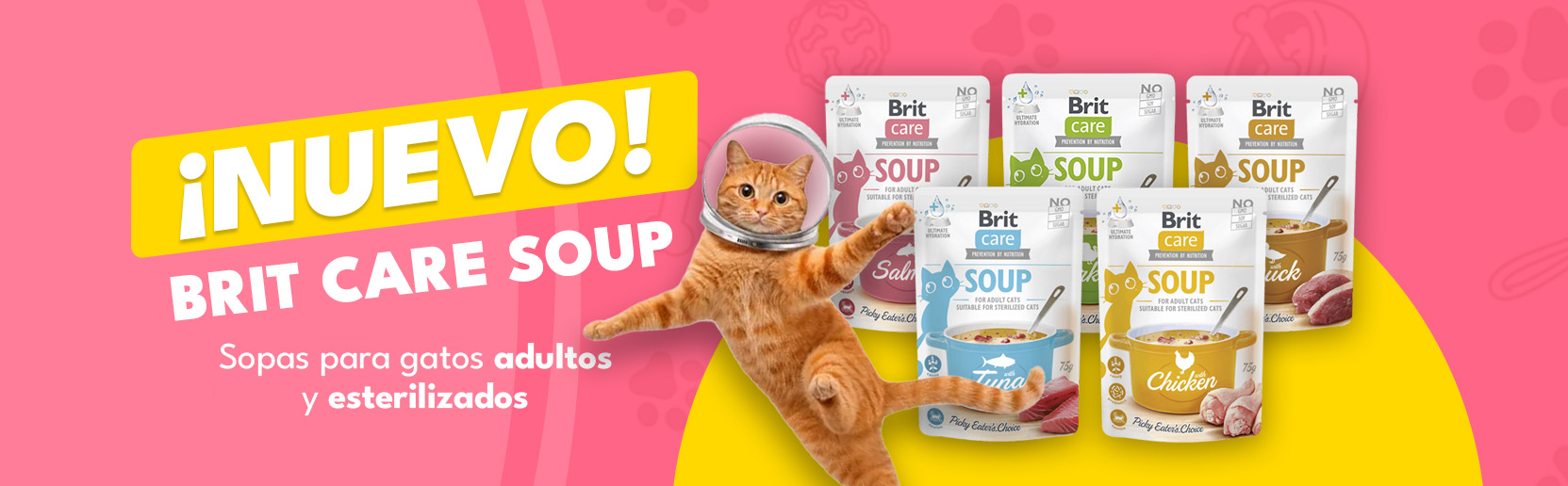 gratis brit pouch vet diets sliders 1.jpg