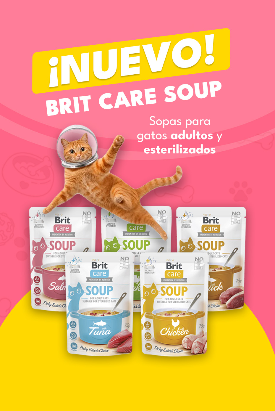 gratis brit pouch vet diets sliders 2.jpg